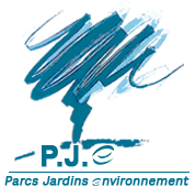 Logo PJE